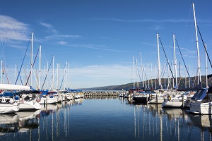 boats in a marina