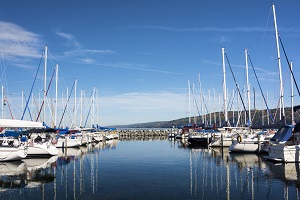 boats in a marina 